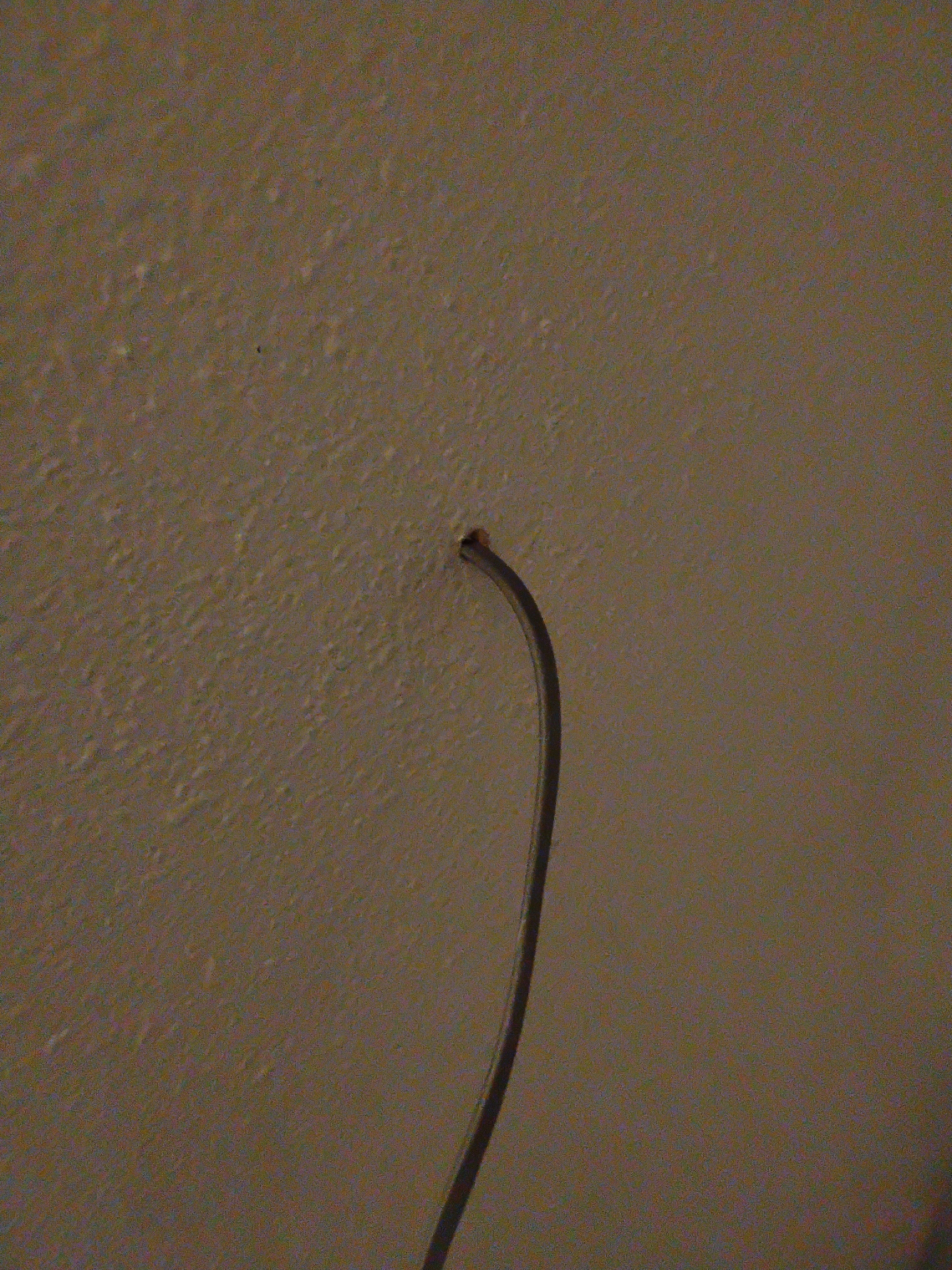 Hole through the wall of my server closet.