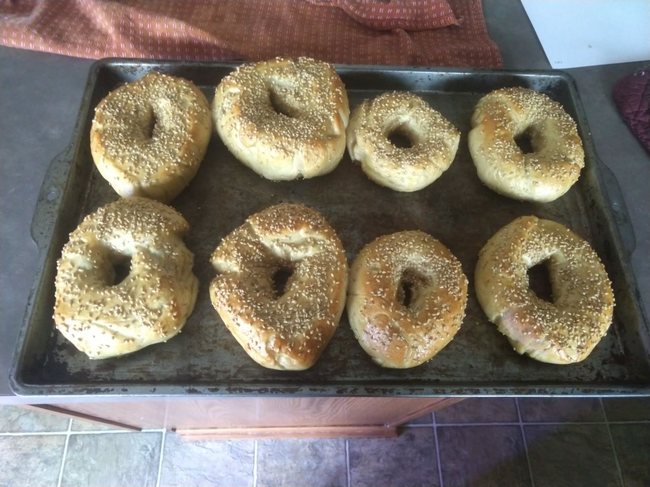 Bagels after baking.