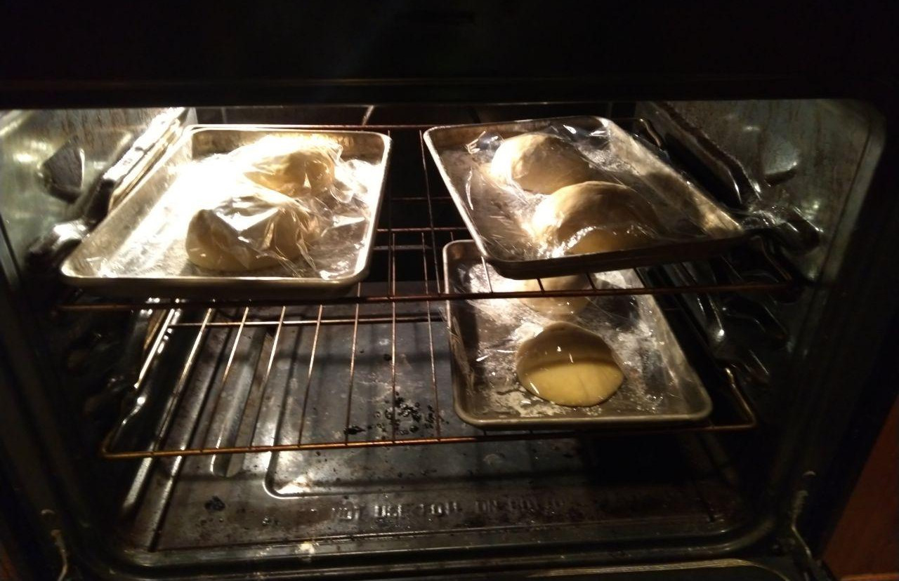 Buns rising in the oven.