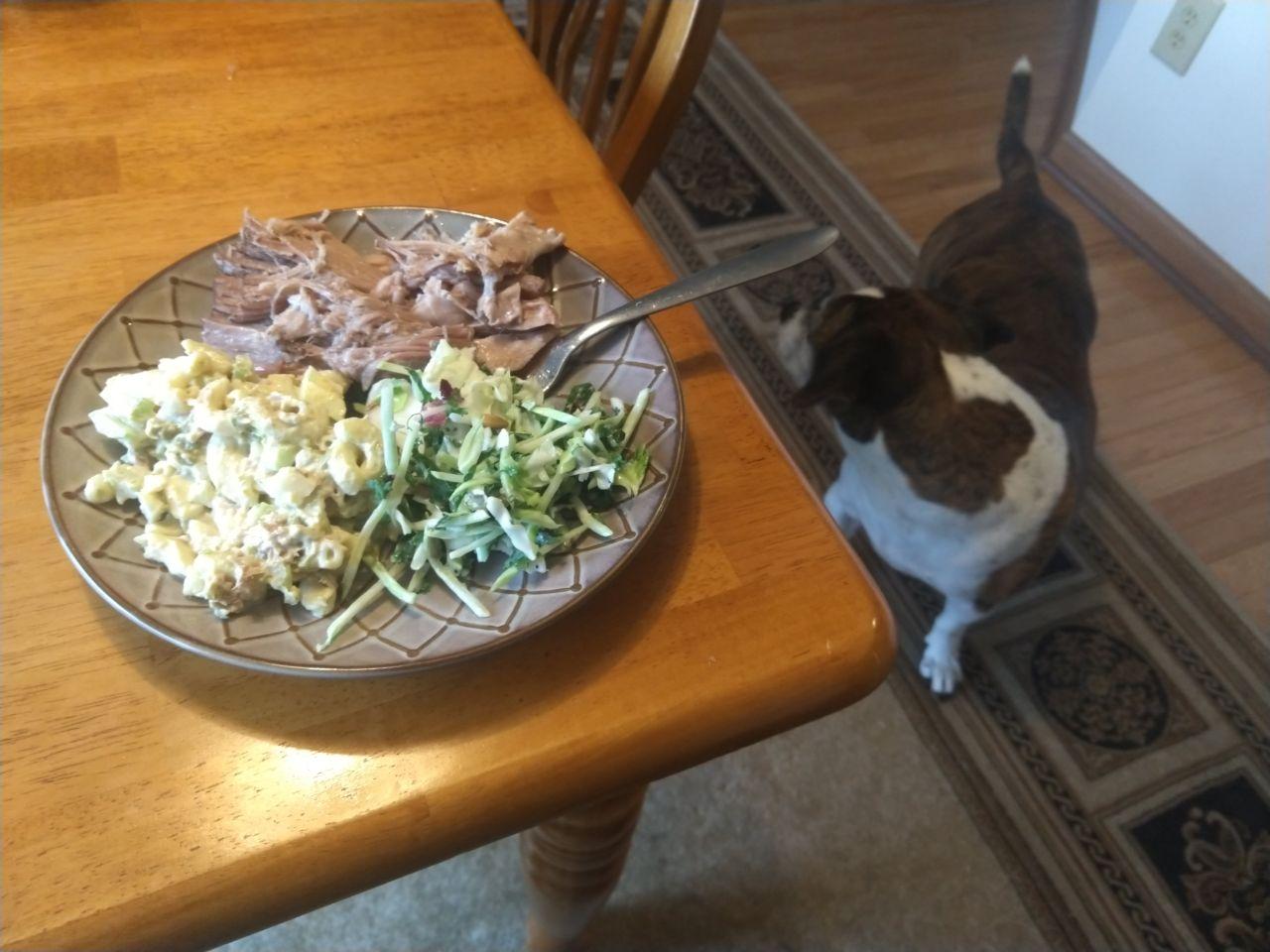 Kalua pork on a page with mac salad.