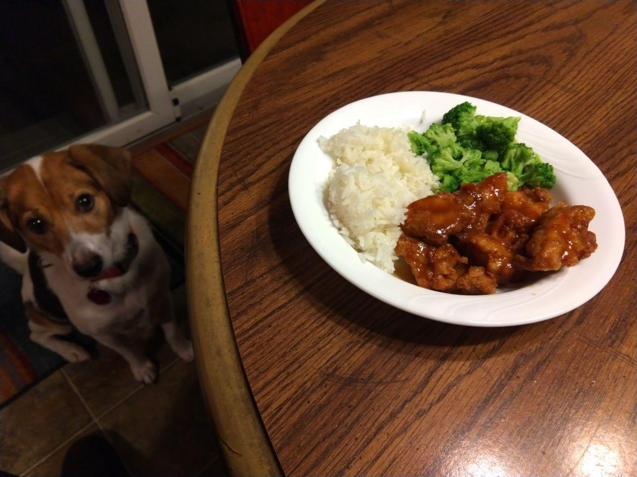Peanut butter chicken with rice and broccoli.